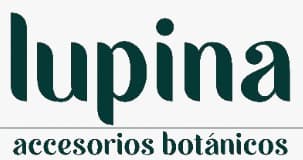 Lupina accesorios botánicos